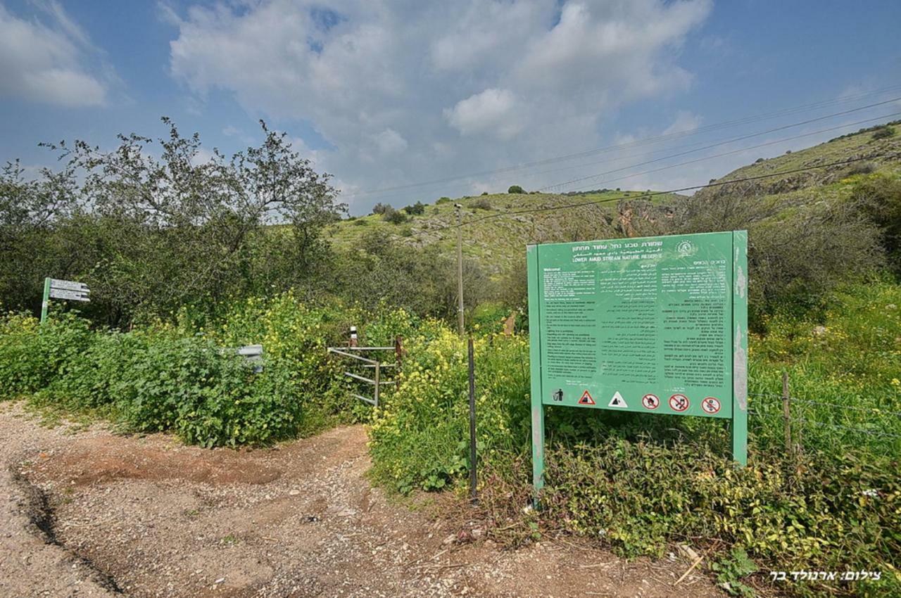 Mul Kinneret Livnim 외부 사진
