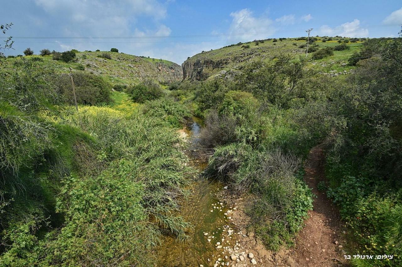 Mul Kinneret Livnim 외부 사진