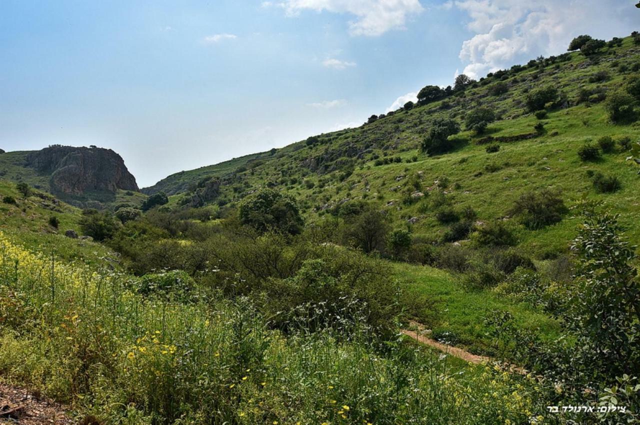 Mul Kinneret Livnim 외부 사진