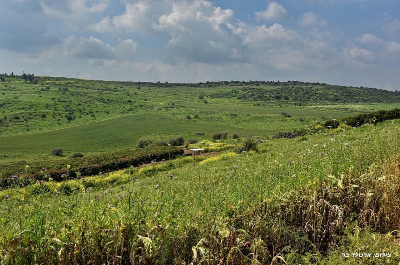 Mul Kinneret Livnim 외부 사진